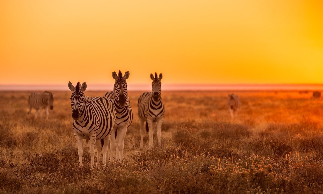 Namibia – die alte deutsche Kolonie