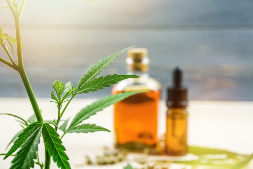 CBD-Öle – warum gibt es so viele verschiedene?