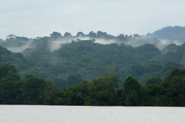 Von der Karibik zum Pazifik – quer durch den Panamakanal: der Gatún-See mit Regenwäldern