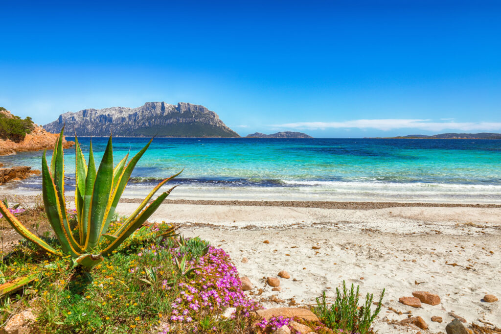 Die Schätze Sardiniens – was die Insel so besonders macht