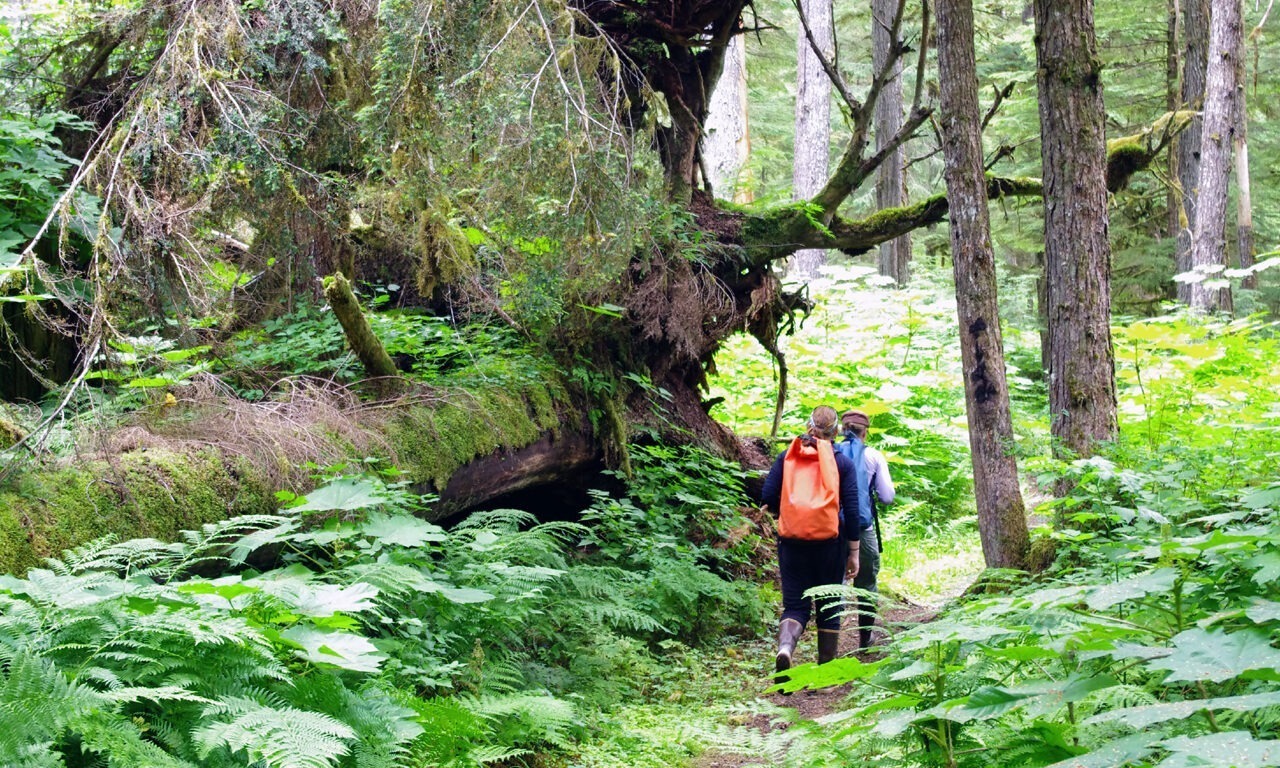 Neuseeland: Frösteln in Mittelerde